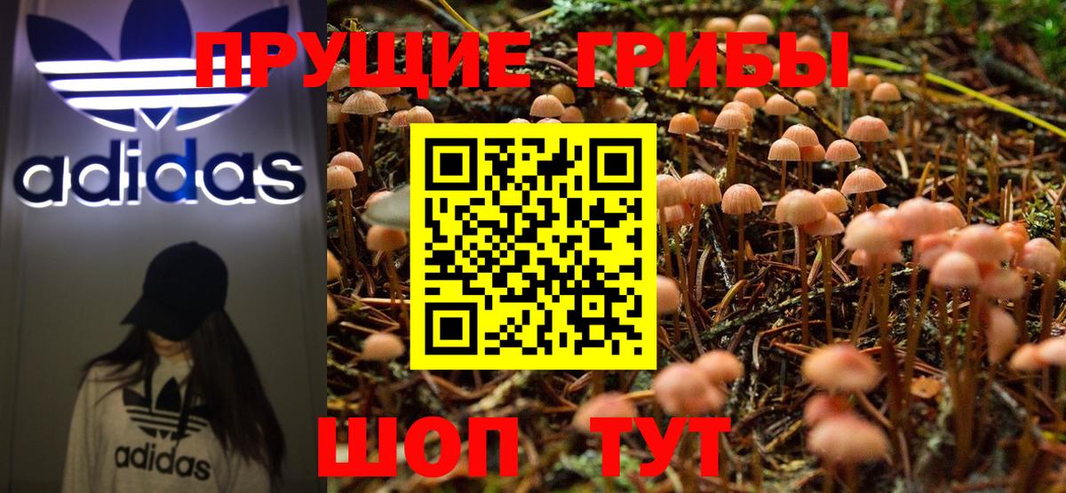 Галлюциногенные грибы GOLDEN TEACHER Гусев